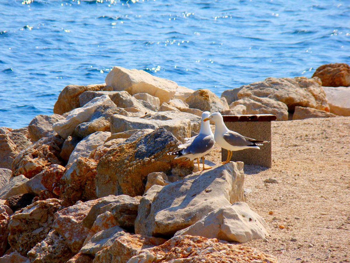 Apartments Ban Dugi Rat Dış mekan fotoğraf